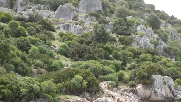Mer, près des ruines de l'ancienne ville sur l'île de Kekova 