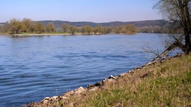 Floden Donau Tyskland Det Kallas Också Blå Donau — Stockvideo