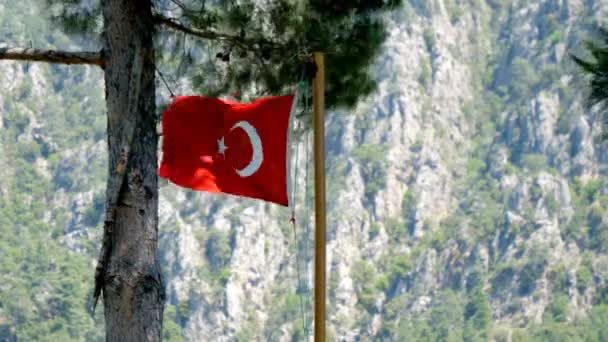 Turkisk Flagga Vajande Vinden — Stockvideo