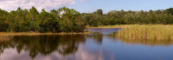 Widok Bagnistą Rzekę Florydzie — Zdjęcie stockowe