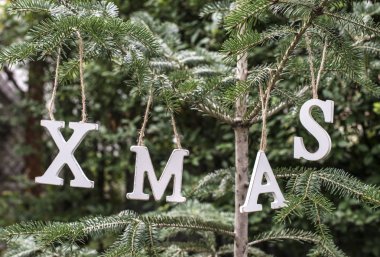 Word Xmas üzerinde köknar ağacı.