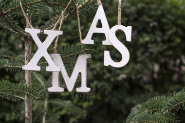  ahşap metin Xmas üzerinde köknar