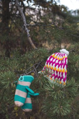 Kış şapka ve eldiven bir ağaç üzerinde