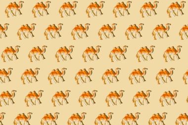 Deve tekrarlanan rakamlar