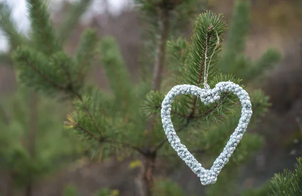 Heart shape on tree