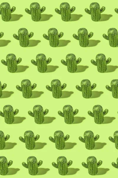 Fond motif cactus — Photo
