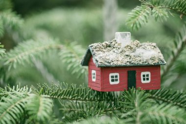 House minyatür köknar ağacı üzerinde