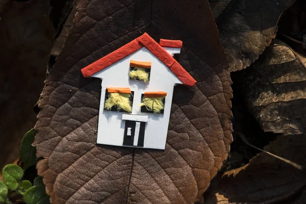 Модель дома и осенние листья — стоковое фото