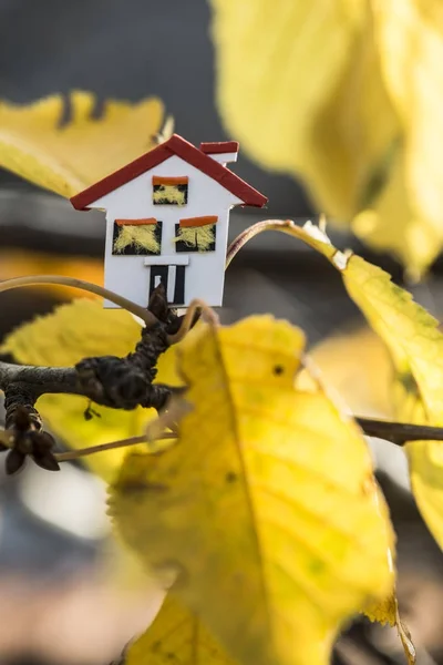 House model and autumn leaves
