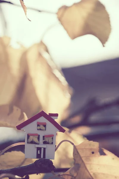 Modelo de casa e folhas de outono — Fotografia de Stock