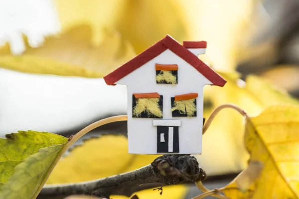 Modelo de casa e folhas de outono — Fotografia de Stock