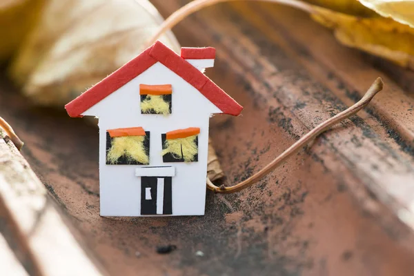 Modelo da casa no telhado — Fotografia de Stock