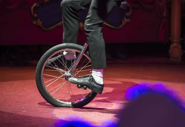 Circo artista bicicleta en circo — Foto de Stock