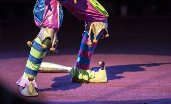 Jongleure im Zirkus und Publikum — Stockfoto