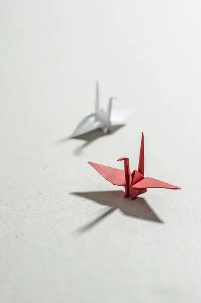 Kranar origami på papper — Stockfoto