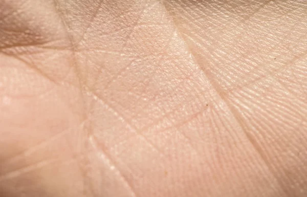 Human skin close up — Stock Photo, Image