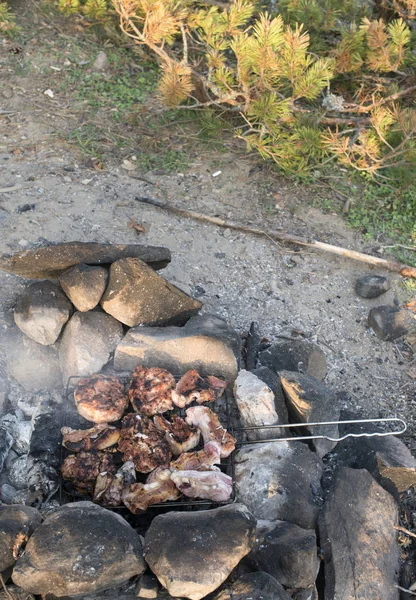 Carne grelhada na floresta — Fotografia de Stock
