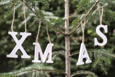 Word Xmas üzerinde köknar ağacı.