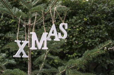 Metin Xmas üzerinde köknar