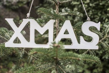 Metin Xmas üzerinde köknar