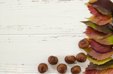 Metin için yer ile beyaz arka plan üzerinde yabani üzüm yaprakları