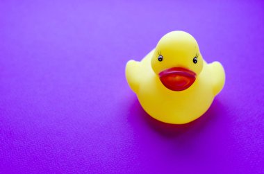 Mor zemin üzerine sarı lastik ördek