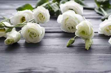 gri ahşap arka plan üzerinde beyaz güzel eustoma çiçek