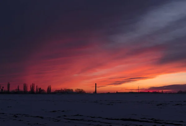 Magnifique coucher de soleil rouge d'hiver dans un champ enneigé Images De Stock Libres De Droits