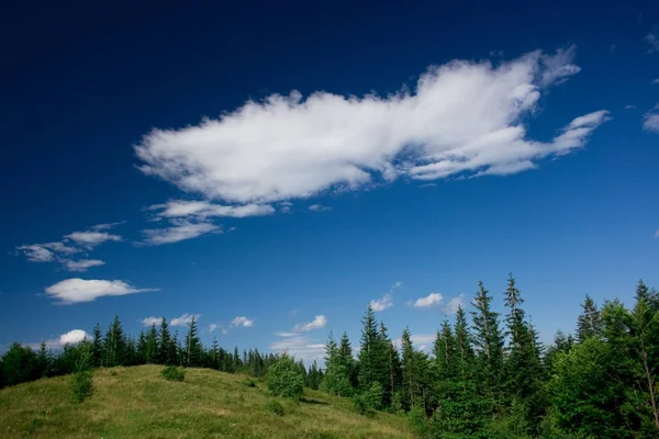 Mavi gökyüzünde büyük bir bulut, ormanda yaz yatay