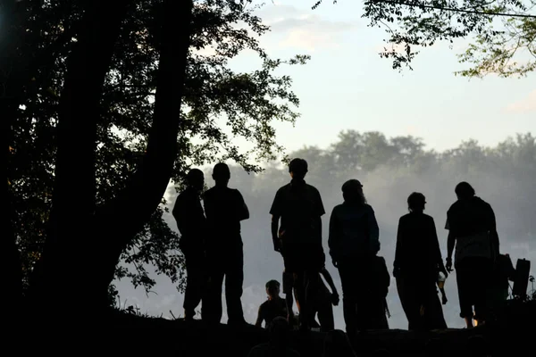 Silhouettes of people enjoying summer festival under the trees