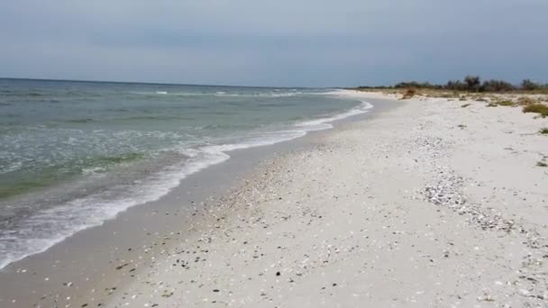 ウクライナのオチャキヴ近くのキンバーン フォレランドの黒海の波と海岸 — ストック動画