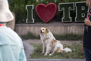 Tiflis, Gürcistan - 20 Haziran 2019: 