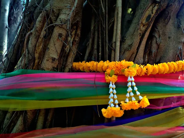 The three color cloths tie with flower at the banyan tree in Ayutthaya, Thailand