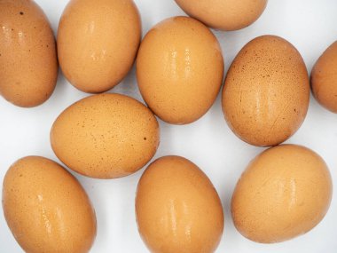 Beyaz zemine sert bir şekilde yerleştirilen yumurtalara yakın çekim yapın.