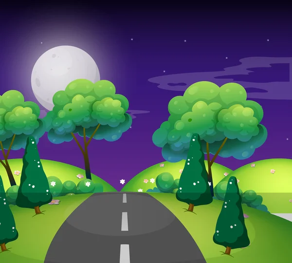 Scene with empty road at night — Stock Vector