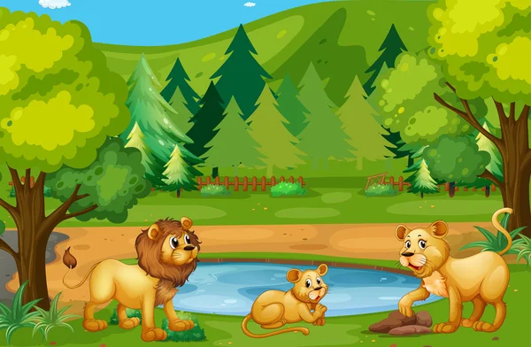 Lion family living in the jungle — Stock Vector