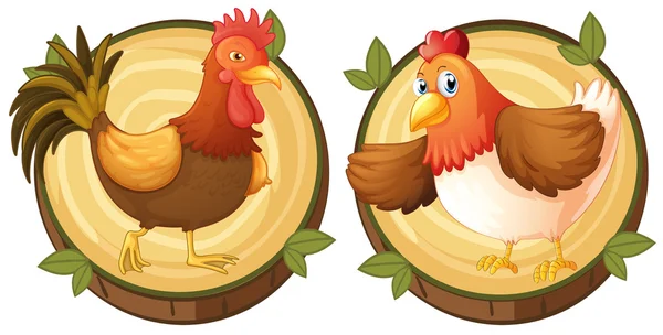 Chickens on round wooden badges — Stock Vector