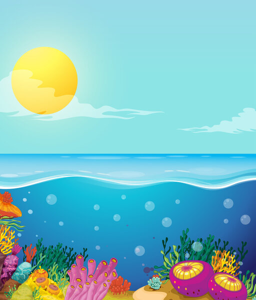 Scene of ocean and underwater