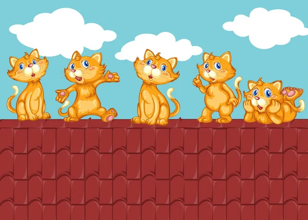 Fem kattungar på röda taket — Stock vektor