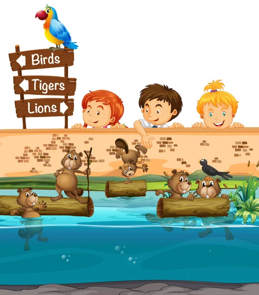 Kids looing at beavers in the zoo — Stock Vector