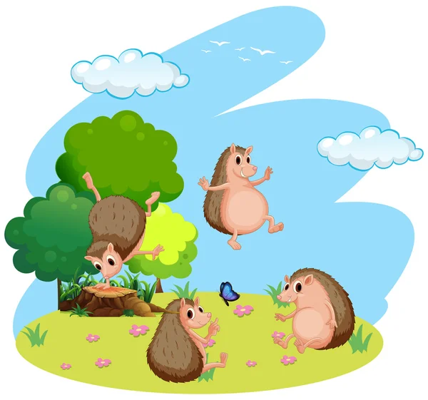 Four hedgehog in the field — Stock Vector