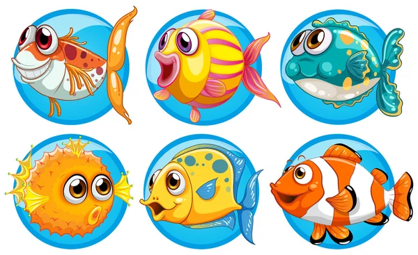 Diferentes tipos de peces en la insignia redonda — Archivo Imágenes Vectoriales