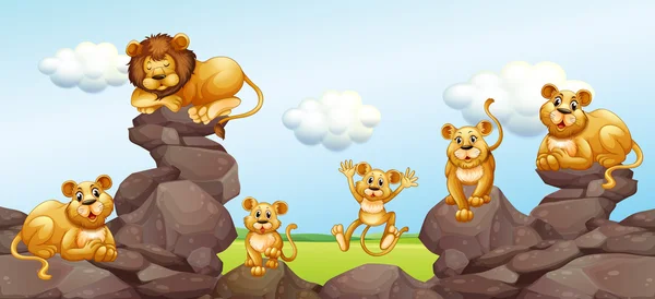Lion family in the field — Stock Vector