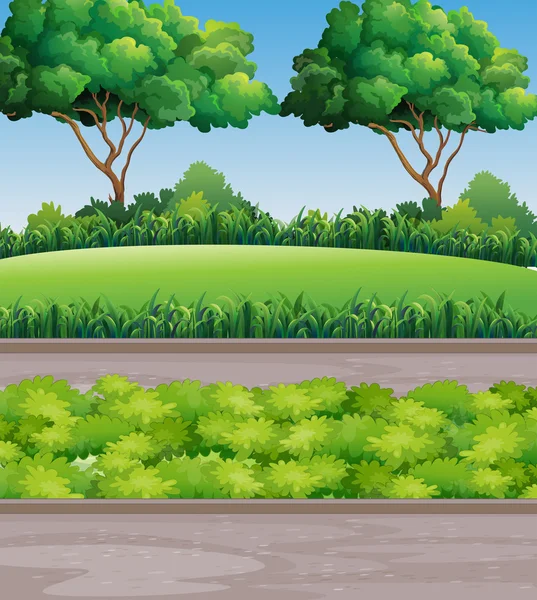 Scena w parku z trawnikiem i drzewami — Wektor stockowy
