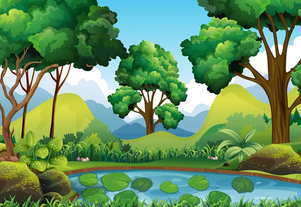 Лесная сцена с деревьями и прудом — стоковый вектор