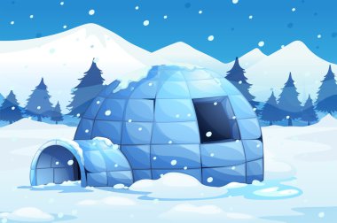 Kuzey Kutbu Igloo
