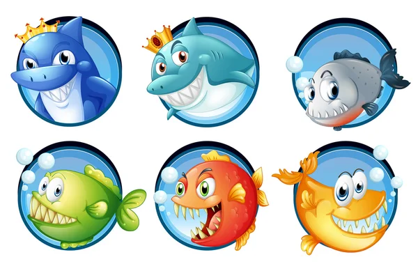 Sea animals on round badges — Stock Vector