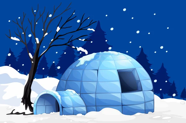 自然场景与圆顶冰屋上下雪的夜晚 — 图库矢量图片