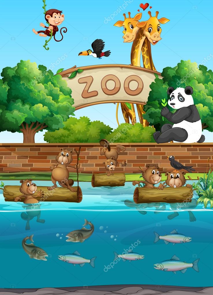 動物園の背景ストックベクター ロイヤリティフリー動物園の背景イラスト Depositphotos 動物園の背景ストックベクター ロイヤリティフリー動物園の背景イラスト Depositphotos