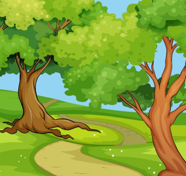 Büyük ağaçlar ile Milli Parkı sahne